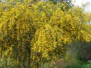 Bild1