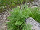Bild6