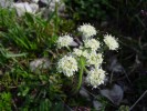Bild4