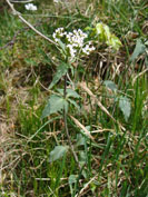 Bild2