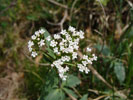 Bild3