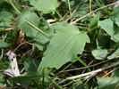 Bild5
