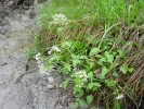 Bild6