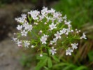Bild7