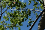 Bild2
