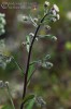Bild6