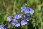 Bild4