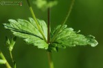 Bild8