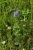 Bild2