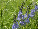 Bild3