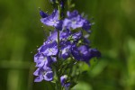 Bild5