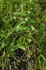 Bild8