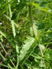 Bild9