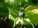 Bild8