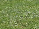 Bild1