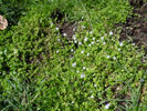 Bild2