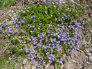 Bild3