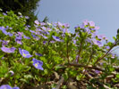 Bild5