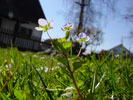 Bild6