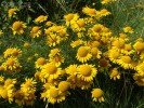 Bild5