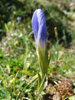 Bild1