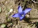 Bild4