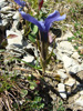 Bild5