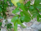 Bild8
