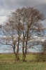 Bild1
