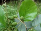 Bild7