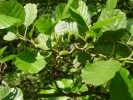 Bild8