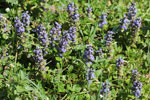 Bild1