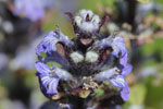 Bild4