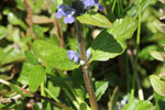 Bild5