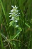 Bild8
