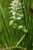 Bild9