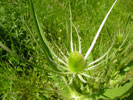 Bild3