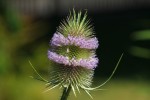 Bild8