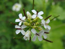 Bild4