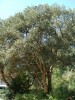 Bild1