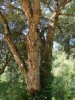 Bild7