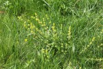 Bild6