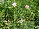 Bild1