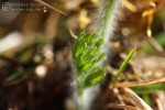 Bild11