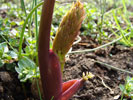 Bild1