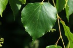 Bild10