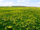 Bild1