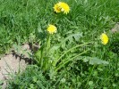 Bild15