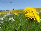 Bild5