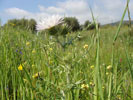 Bild3